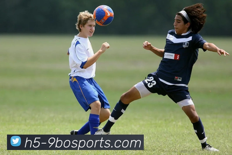 App Interface Preview